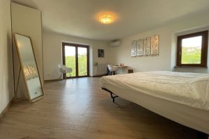 Antica Tenuta Bolano |  -  - 