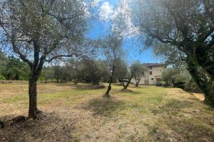 Antica Tenuta Bolano |  -  - 