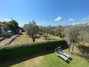 Antica Tenuta Bolano |  -  - 