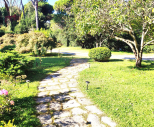 La Villa degli Aceri |  -  - 