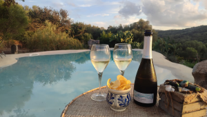 Antica Tenuta Costa Smeralda TagliaMare |  -  - 