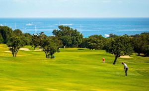 Antica Tenuta Costa Smeralda TagliaMare |  -  - 