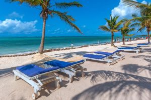 Villa Jacaranda Sea |  -  - 