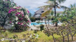 Villa Jacaranda Sea |  -  - 