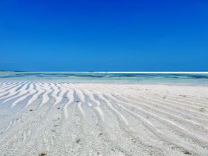 Villa Jacaranda Sea |  -  - 