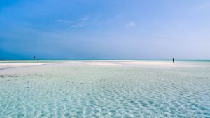 Villa Jacaranda Sea |  -  - 