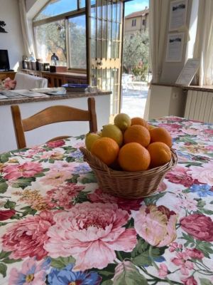 Tenuta Sarzana al Mare |  -  - 