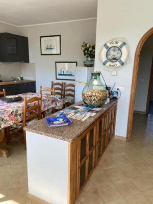 Tenuta Sarzana al Mare |  -  - 