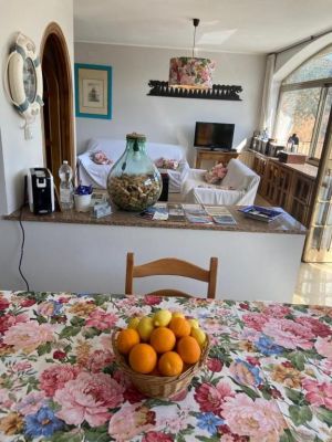 Tenuta Sarzana al Mare |  -  - 
