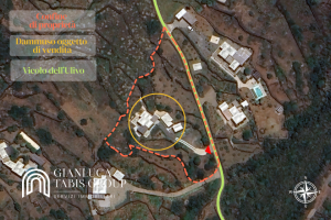 Antica Tenuta Nika' |  -  - 