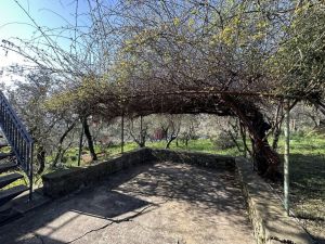 Podere Paradiso |  -  - 