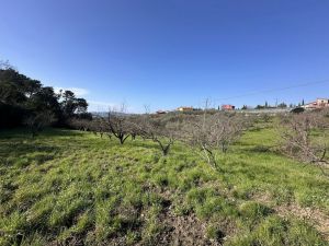 Podere Paradiso |  -  - 