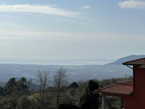 Podere Paradiso |  -  - 