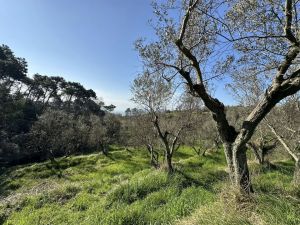 Podere Paradiso |  -  - 