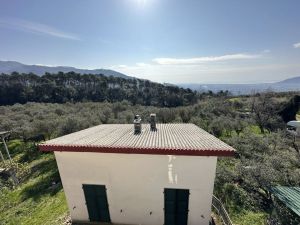 Podere Paradiso |  -  - 
