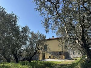 Podere Paradiso |  -  - 