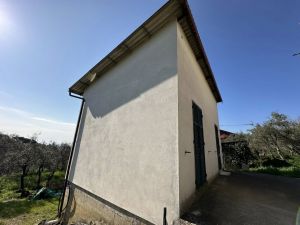 Podere Paradiso |  -  - 
