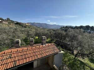 Podere Paradiso |  -  - 