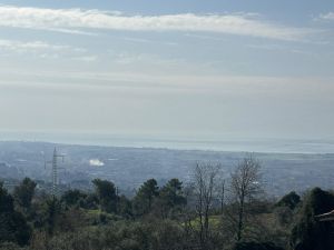 Podere Paradiso |  -  - 