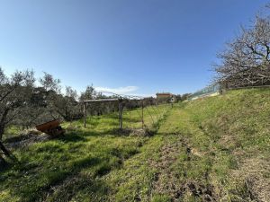 Podere Paradiso |  -  - 