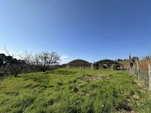 Podere Paradiso |  -  - 