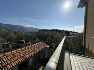 Podere Paradiso |  -  - 