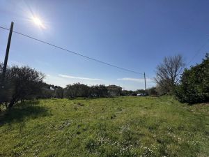 Podere Paradiso |  -  - 
