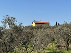 Podere Paradiso |  -  - 
