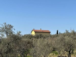 Podere Paradiso |  -  - 