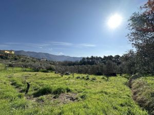 Podere Paradiso |  -  - 