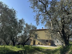 Podere Paradiso |  -  - 