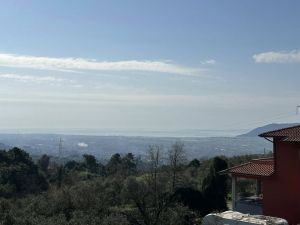 Podere Paradiso |  -  - 