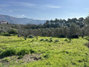 Podere Paradiso |  -  - 