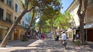 Casa Cassino |  -  - 