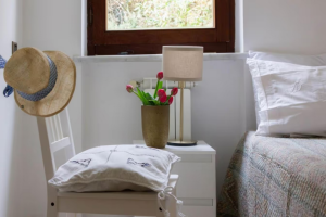 La Villa degli Ulivi |  -  - 