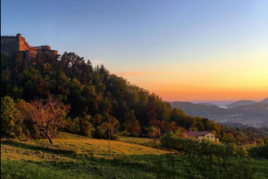 La Villa degli Ulivi |  -  - 