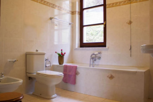 La Villa degli Ulivi |  -  - 