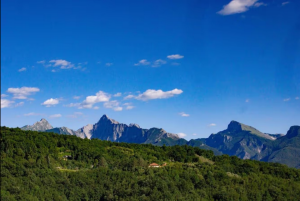 La Villa degli Ulivi |  -  - 