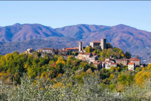 La Villa degli Ulivi |  -  - 