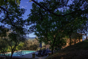La Villa degli Ulivi |  -  - 