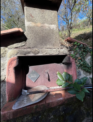 La Villa degli Ulivi |  -  - 