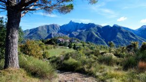La Villa degli Ulivi |  -  - 