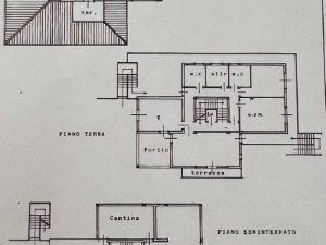 La Villa degli Ulivi |  -  - 