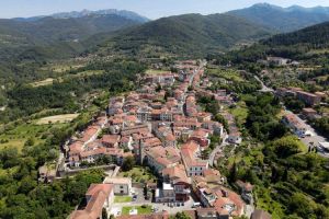 La Villa degli Ulivi |  -  - 