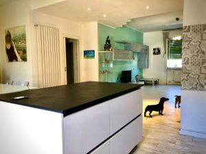 Appartamento Fancy |  -  - 