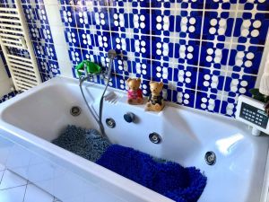 Appartamento Fancy |  -  - 