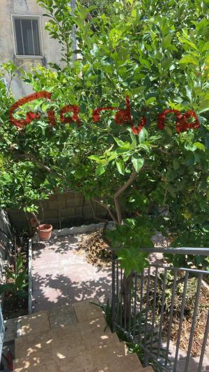 Casa Normanna |  -  - 