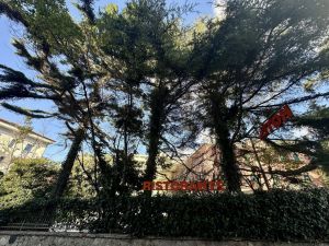 La Casa a 50 Metri dal Mare  |  -  - 