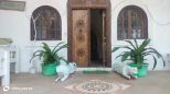 Villa Marica  | Watamu - Wohnungen und Villen - Kenya & Zanzibar