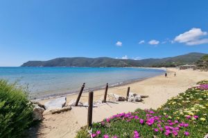 Villa Napoleone al Mare |  -  - 